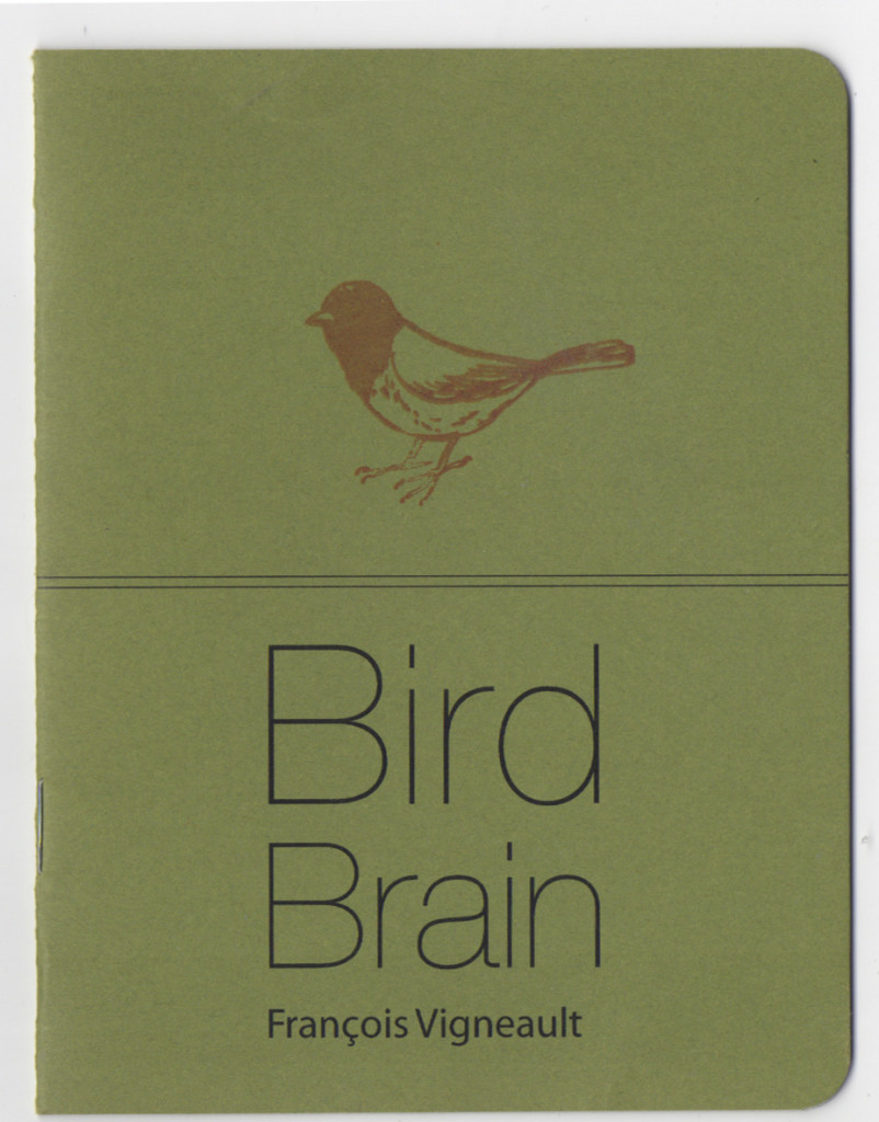 BirdBrain1