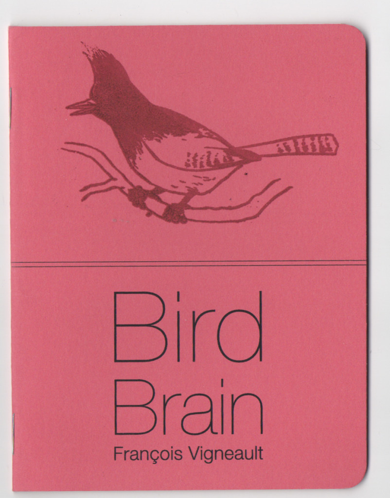 BirdBrain3