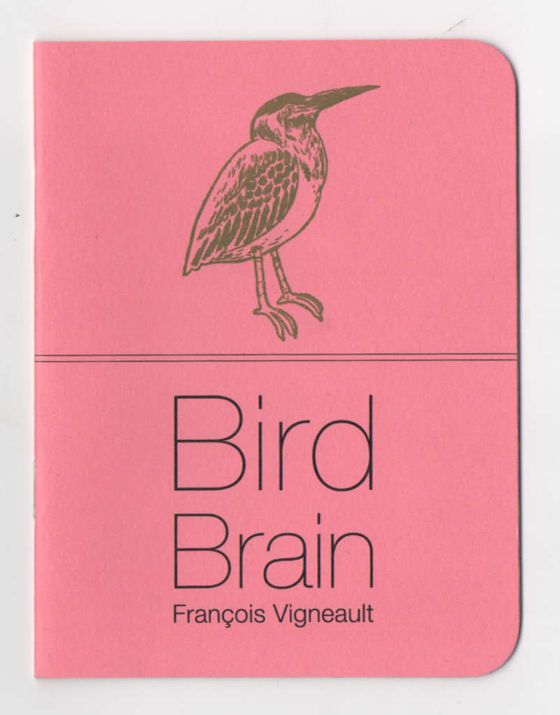 BirdBrain5
